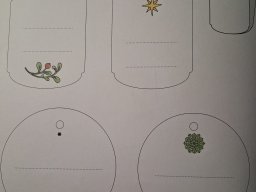 whatsapp image 2025-12-23 at 16.11.26